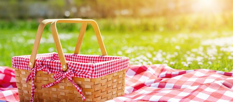 How to Have a Picnic Without Bugs