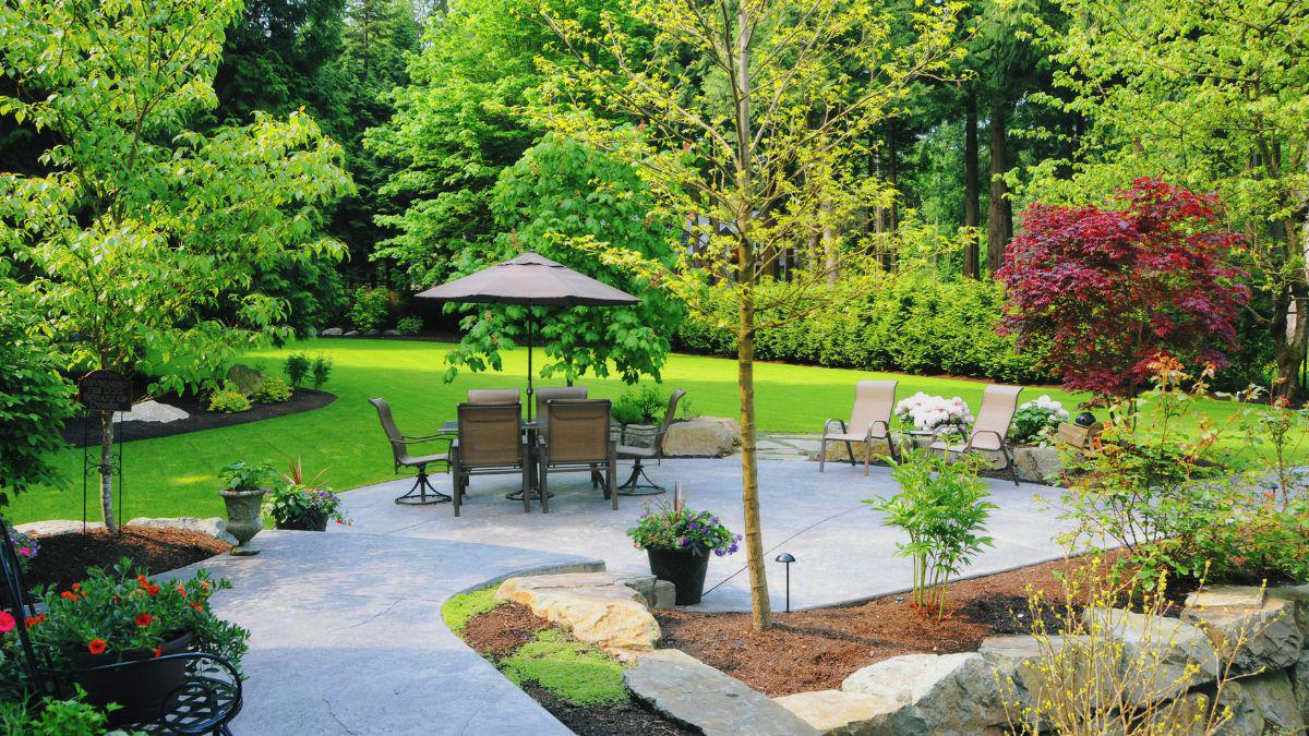 One-Time Mosquito Treatments vs. Season-Long Protection