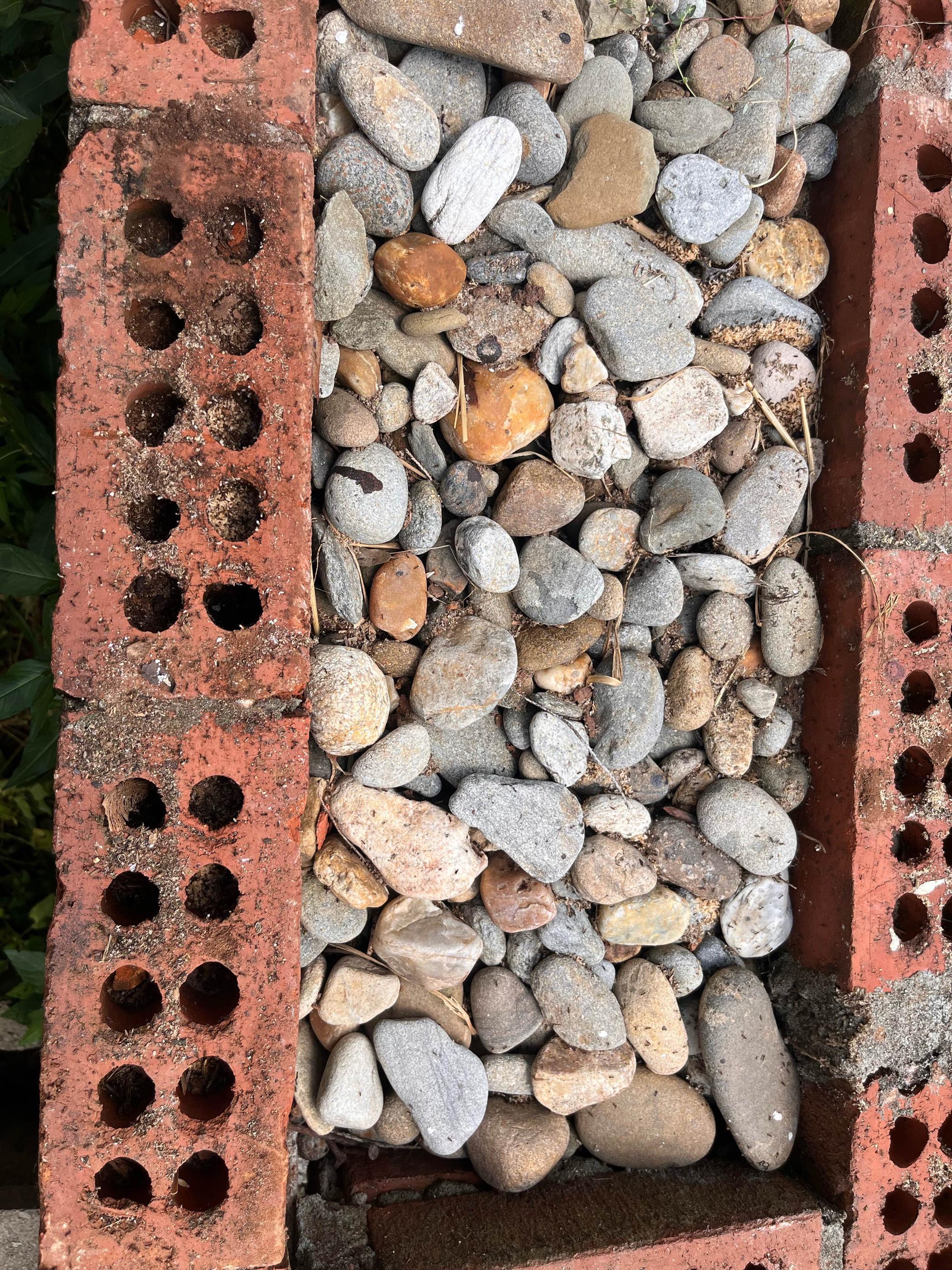 Pest Control in Covington and Newport Starts in the Walls, Not the Yard