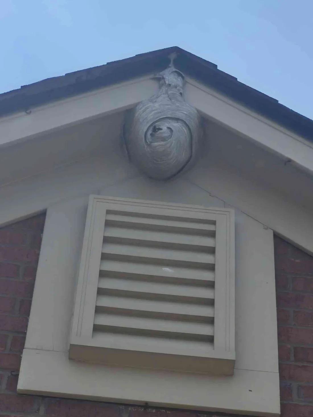 Getting a Fort Mitchell Home Ready for Winter, From the Foundation to the Roofline