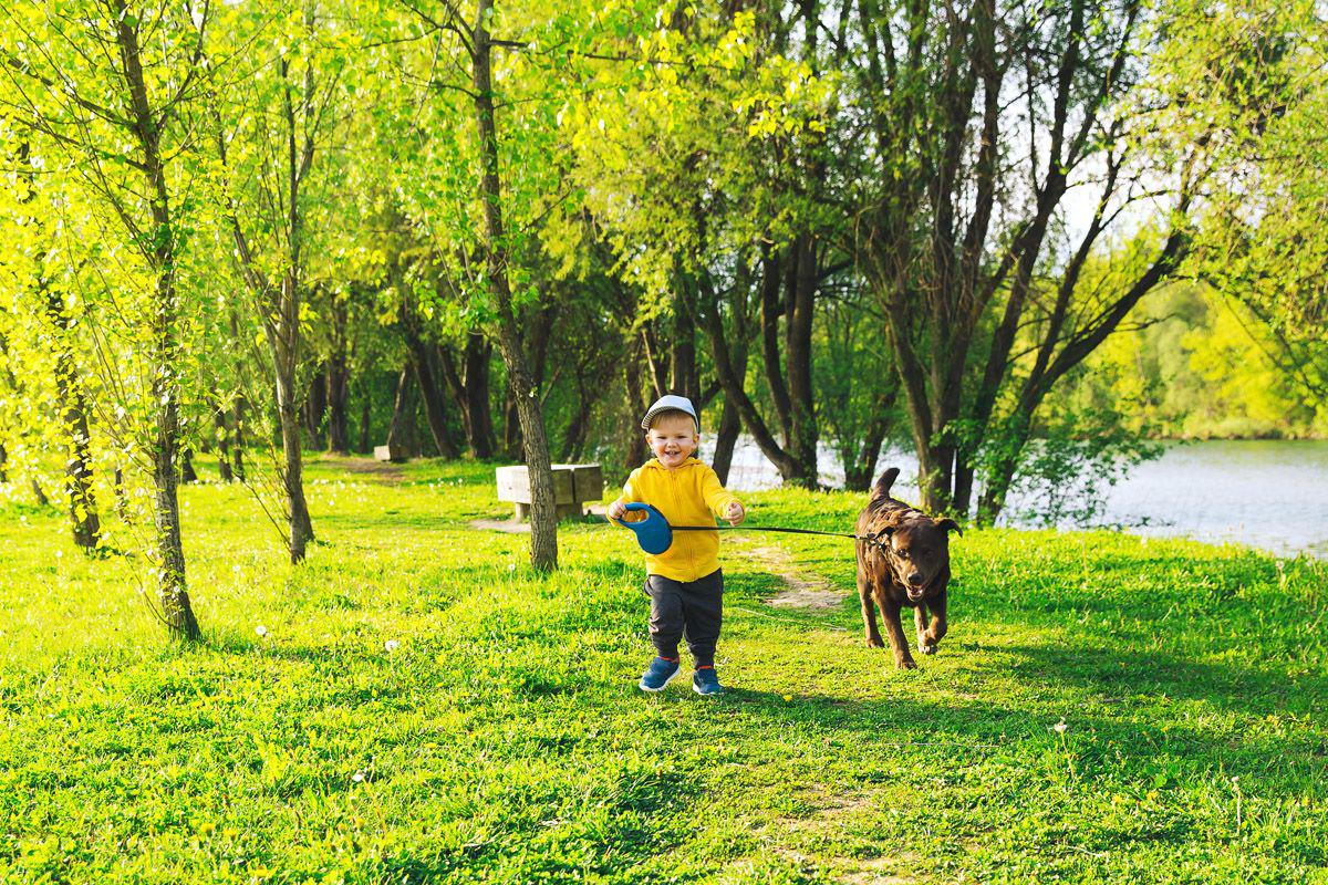 toddler with a brown dog in the park
