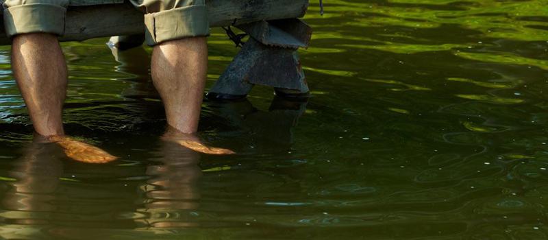 Why your Lake St. Louis Friends May Have Fewer Mosquitoes than You in the City or Suburbs