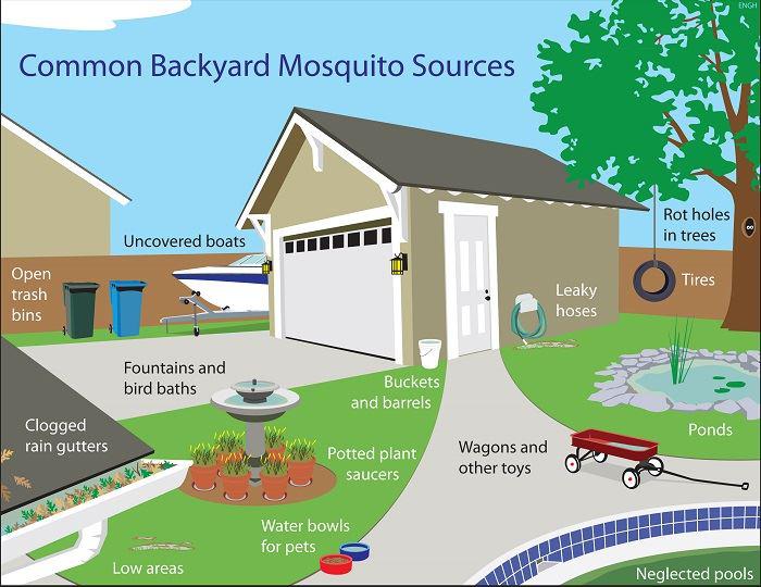 Moisture Problems At Your Canton, Weymouth And Hingham, MA, Property Equals Mosquito Problems