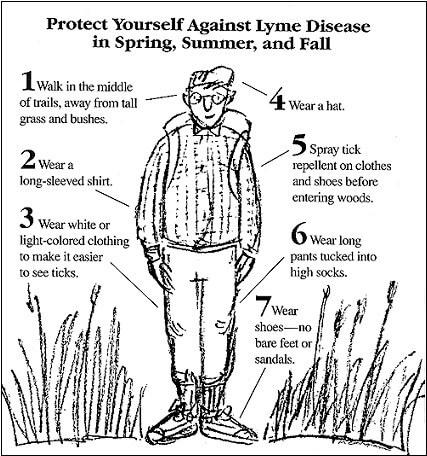 How to protect yourself from lyme disease 