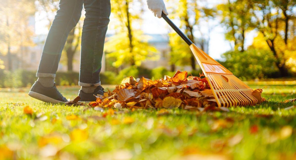 What’s a Good Outdoor Pest Control Option for Autumn?