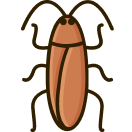 Cockroach icon
