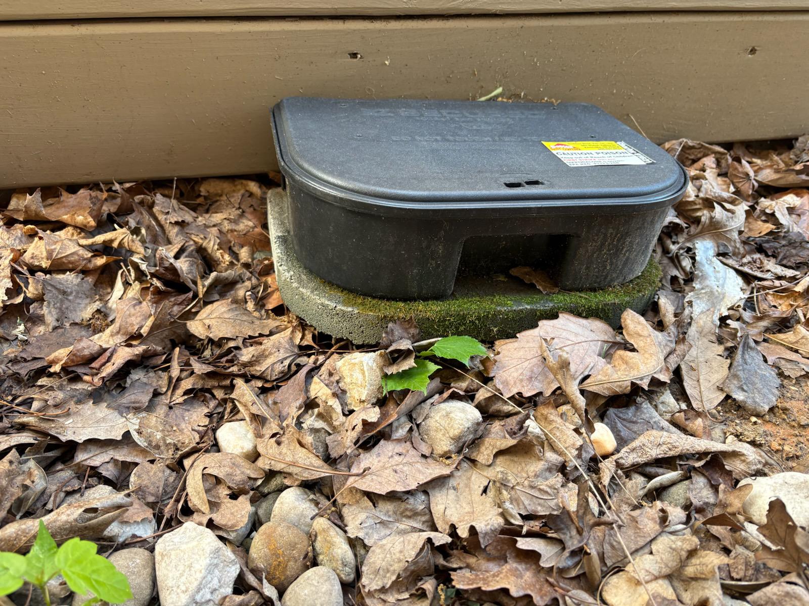 Why Roaches and Mice Start Turning Up Inside Birmingham Homes in the Fall