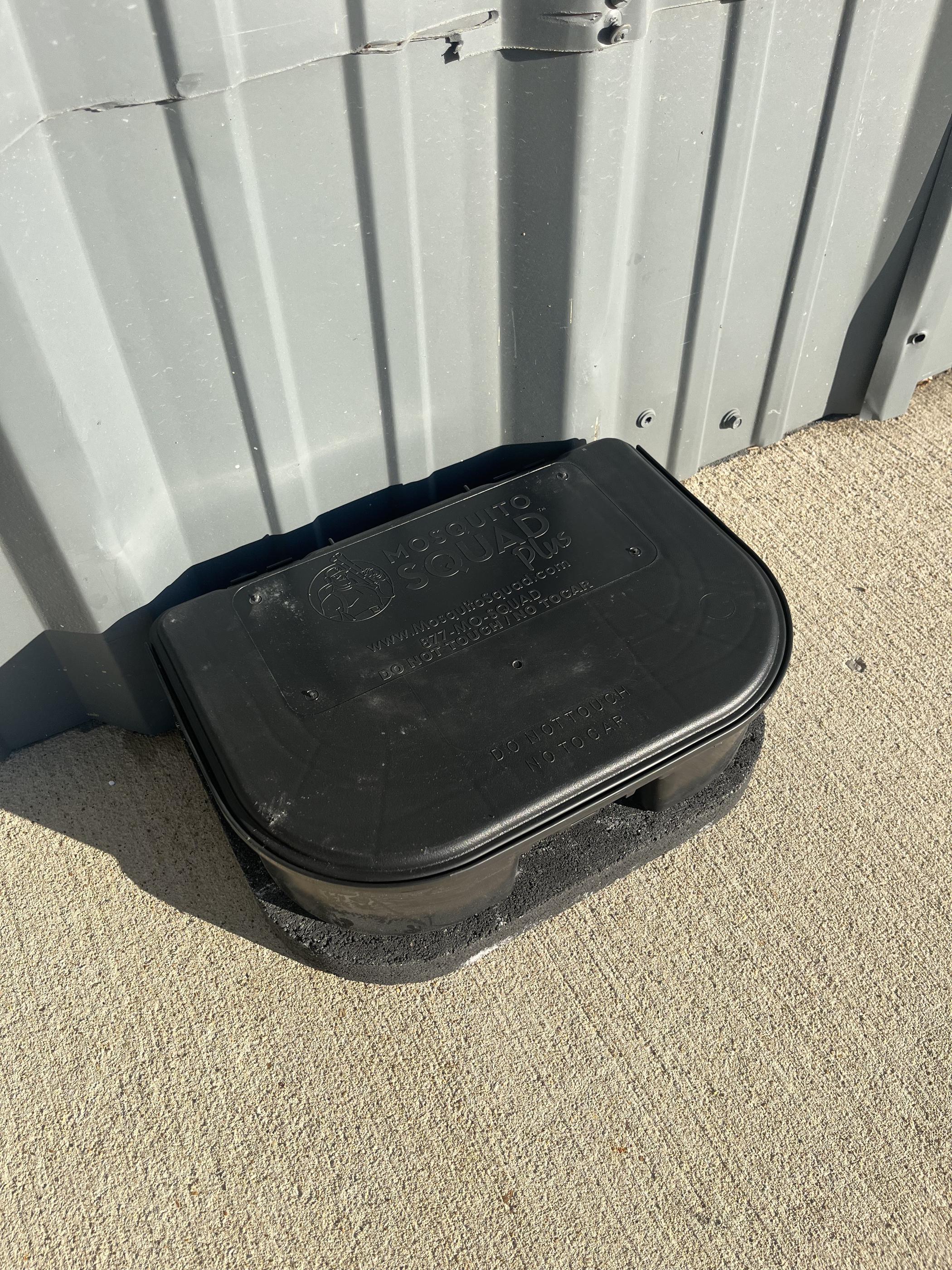 The Bait Keeps Disappearing: What That Tells Homewood Homeowners About Their Rat Problem