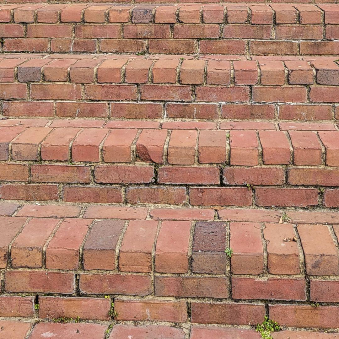 How Mice Get Into Huntsville Homes, Whether Yours Is on a Slab or a Crawl Space