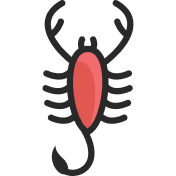 Scorpion icon