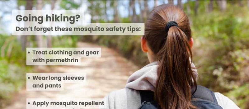 GOING HIKING? Don't forget these mosquito safety tips