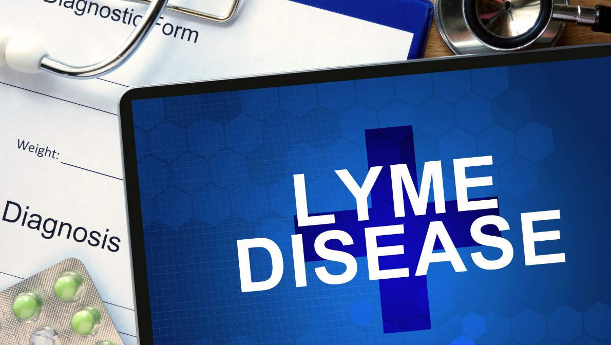 Which Ticks Transmit Lyme Disease?
