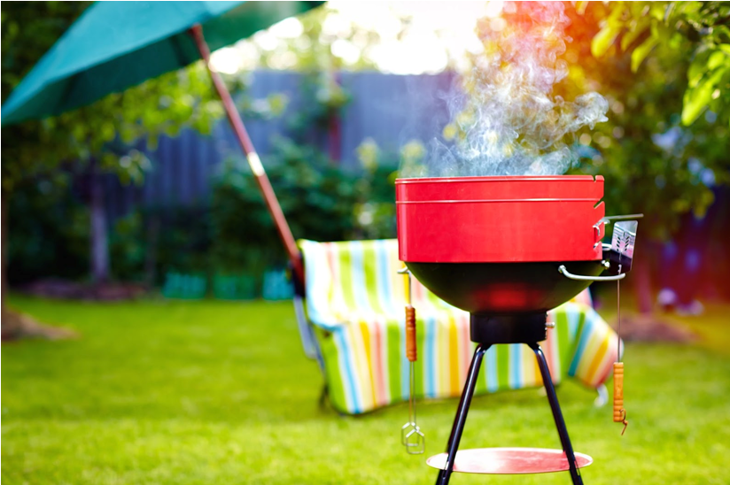 How to Identify and Treat Mosquito Hot Spots Around Your Yard