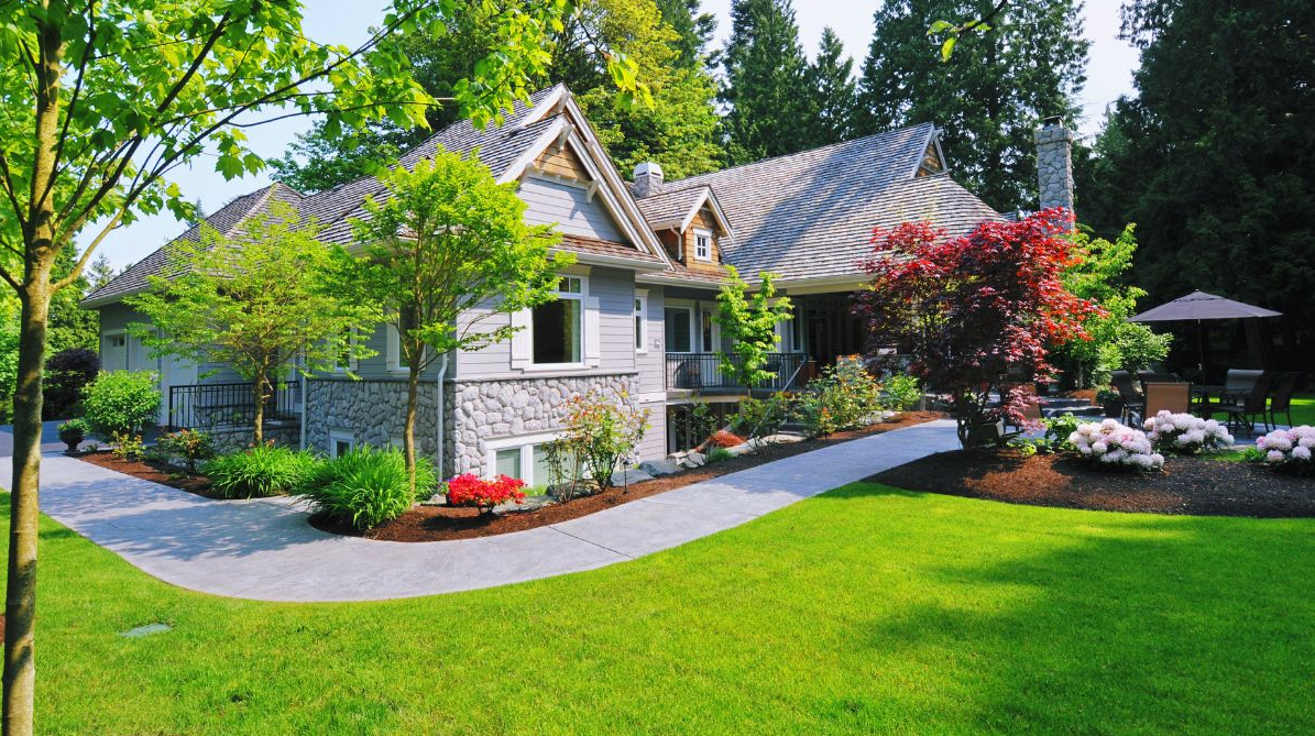 Keep Bugs Out: Yard Pest Control Is Your First Line of Defense at Home