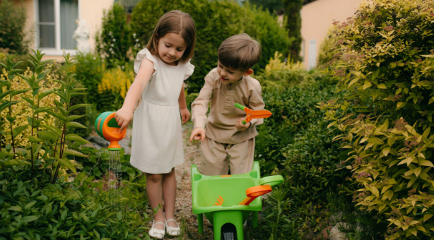 How Pest Control Can Help Protect Your Kids and Pets in Riverside, CT
