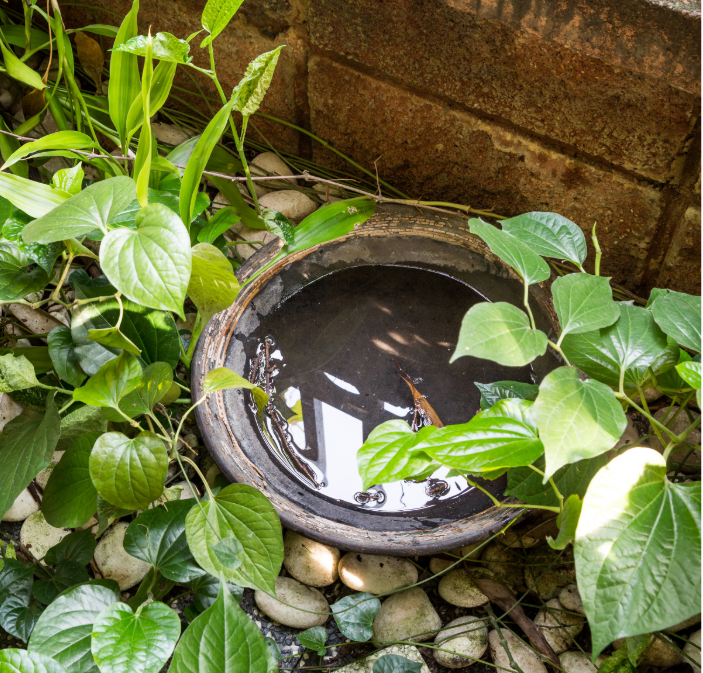 Delafield Mosquito Control