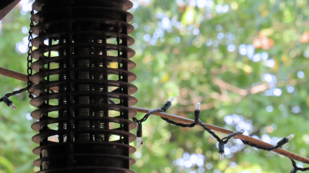 Are Bug Zappers Effective? Why Other Options are Preferred