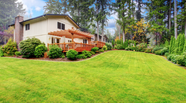 Managing Outdoor Pests in Waukesha County