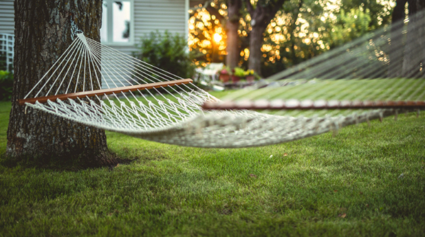 Pest Control in Pleasant Prairie, WI