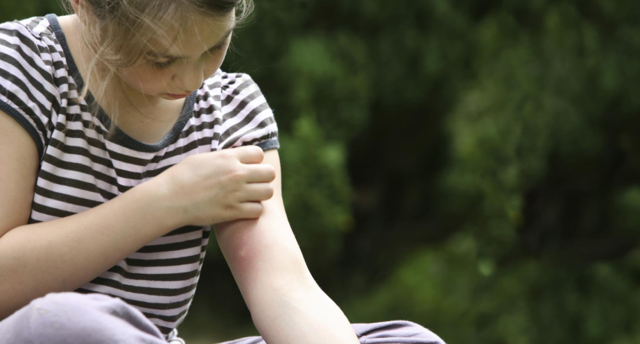 When Does Mosquito Season Start in Utah?