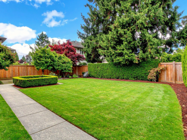 Bug Zappers, Effective or Not?