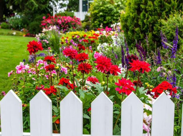 Springtime Pest Behavior in Clarksburg, NJ: A Guide