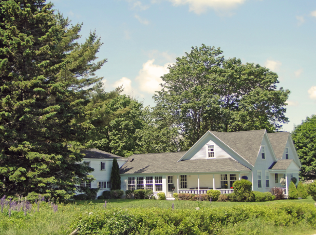 How to Prep Your Home for Pest Season in Eastern Connecticut