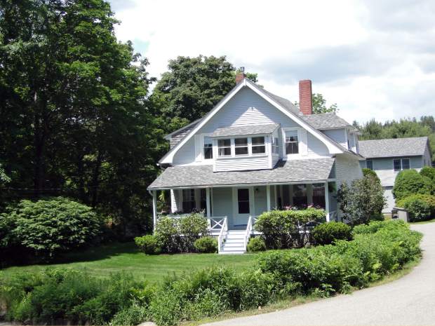 How to Prep Your Home for Pest Season in the Hamptons