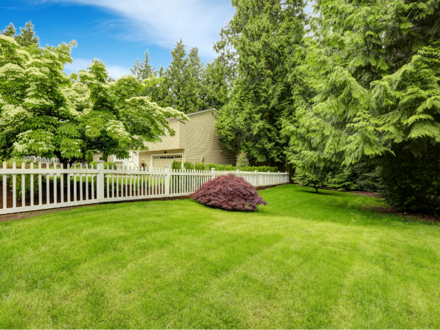 Springtime Pest Behavior in New City, NY