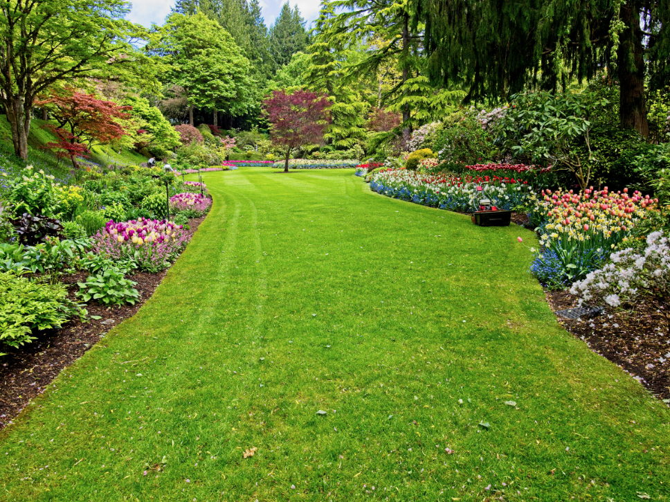 How Does Spring Weather Impact Pest Activity