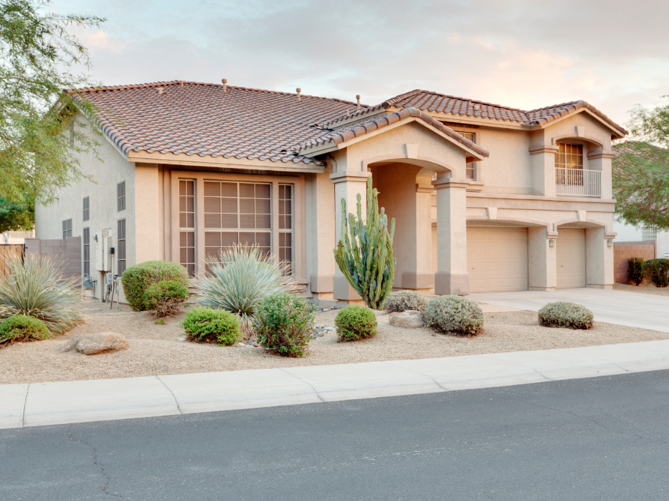 How to Choose Spring Pest Prevention