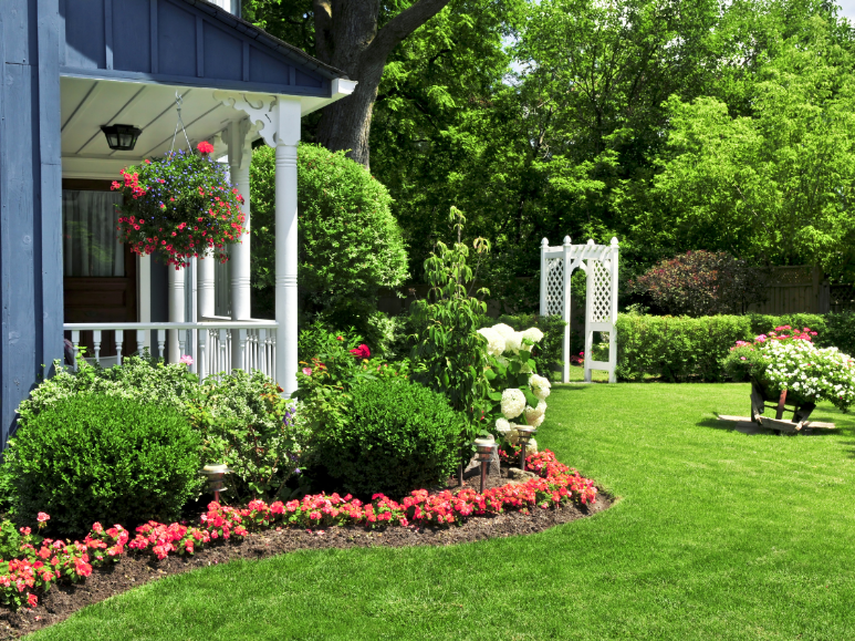 How Heat and Humidity Create the Perfect Mosquito Breeding Ground