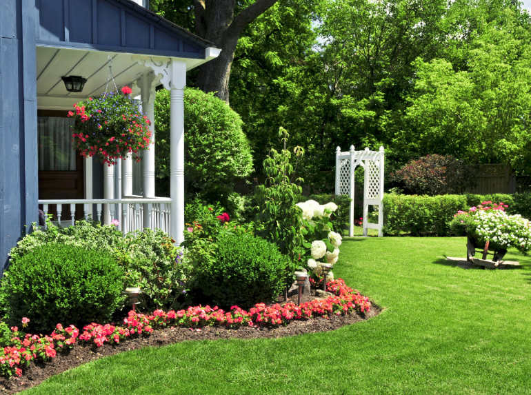 How to Help Protect Your Yard During Peak Mosquito Time