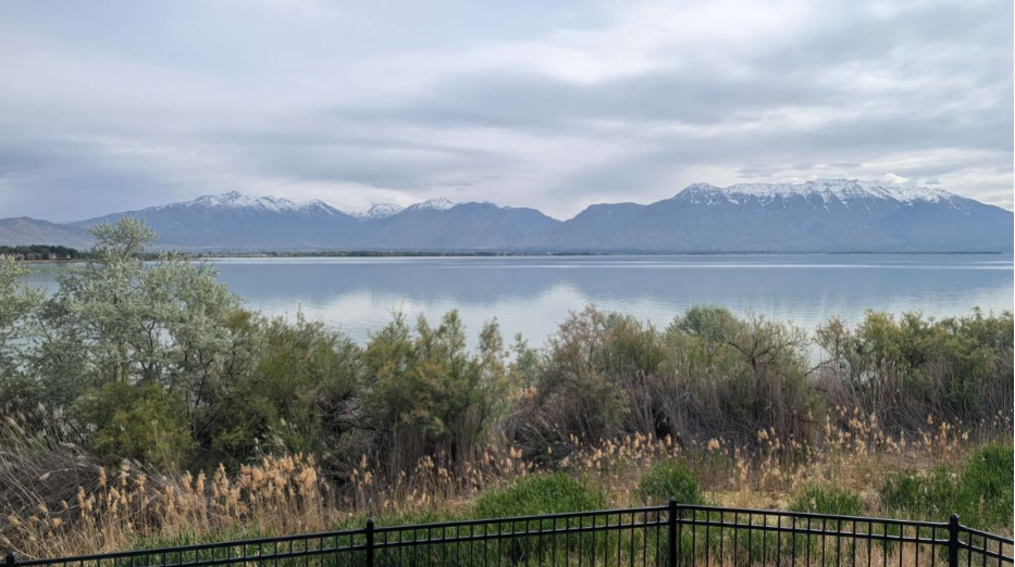 Mosquito Control Near Utah Lake: Why Early Treatments Matter