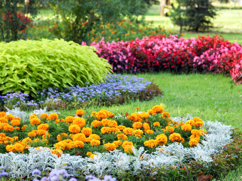 How to Prepare Your Backyard for Spring Pests