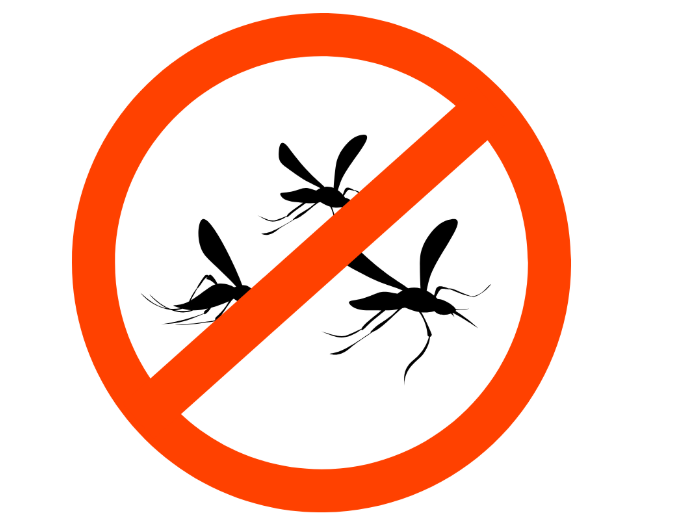 How to Prevent Pest Infestations Before They Start
