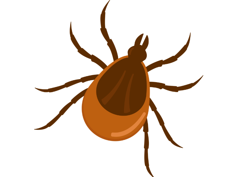 The Right Tick Control Helps You Enjoy Schaumburg Homes