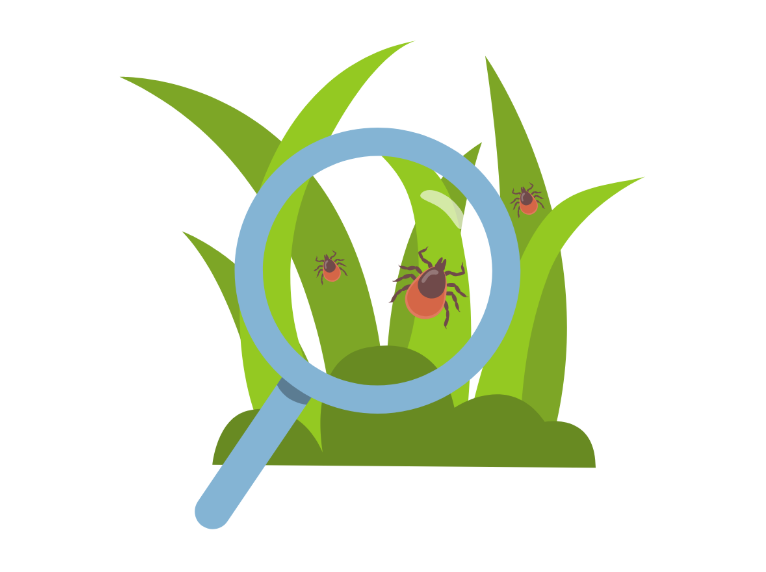 Mosquito & Tick Season Timeline in Virginia
