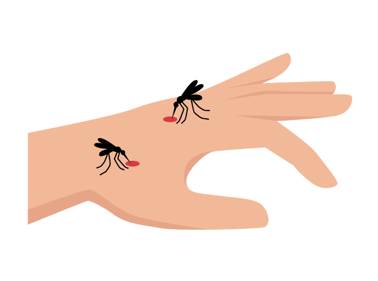 Help Your Family Avoid Mosquito Bites