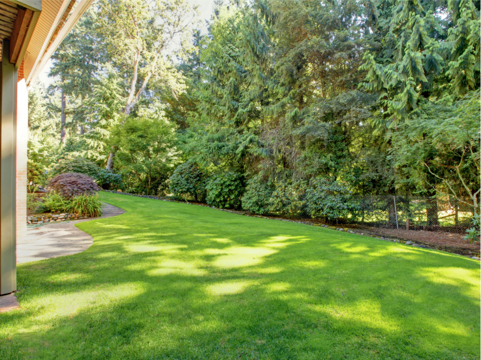 Will Cleaning Up My Yard Reduce Mosquitoes?
