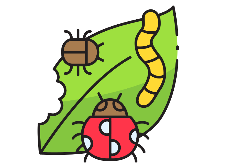 Treating for Multiple Pests in Commack, NY