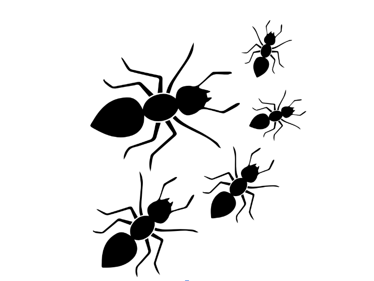 Can You Deter Ants Away From Your New Rochelle, NY Home?
