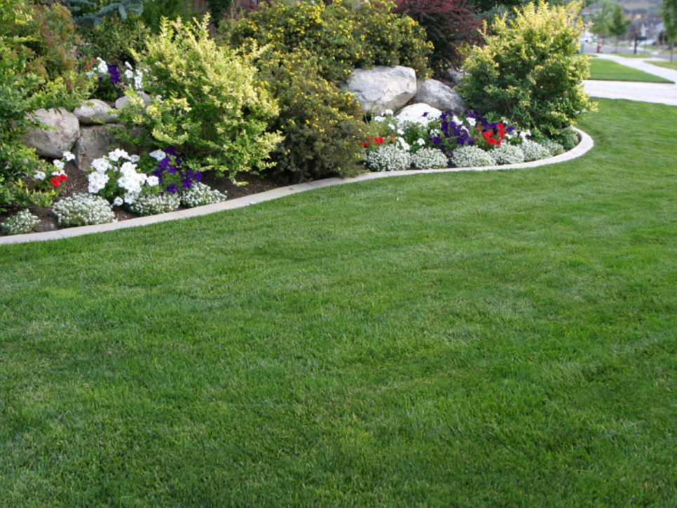 How to Enjoy Your Garden Grove Backyard Without the Mosquitoes