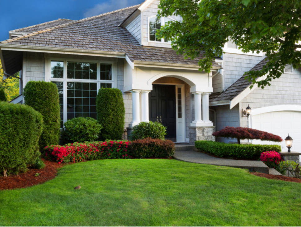 How to Prevent Pests from Entering Your Milton, MA Home