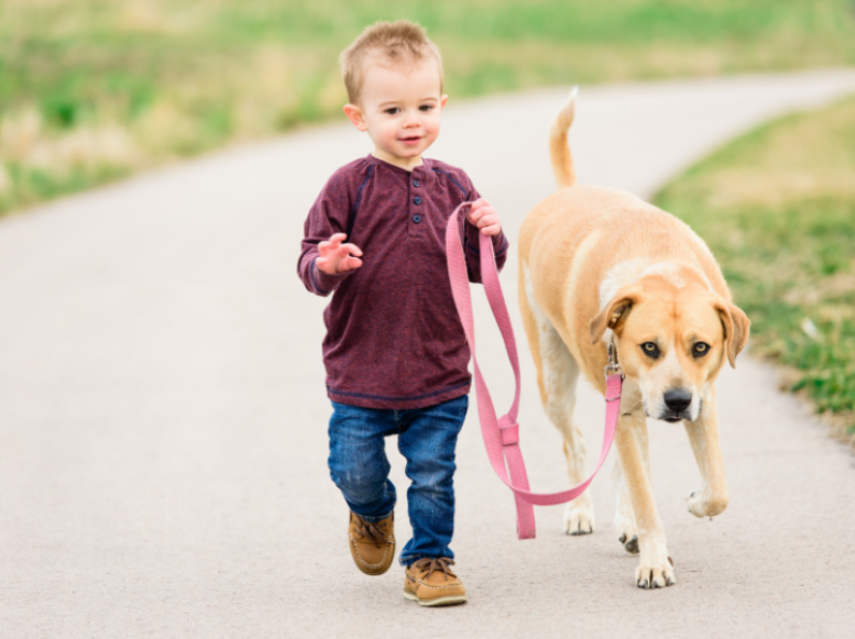 Help Protect Your Kids & Pets from Ticks in Fredericksburg This Spring