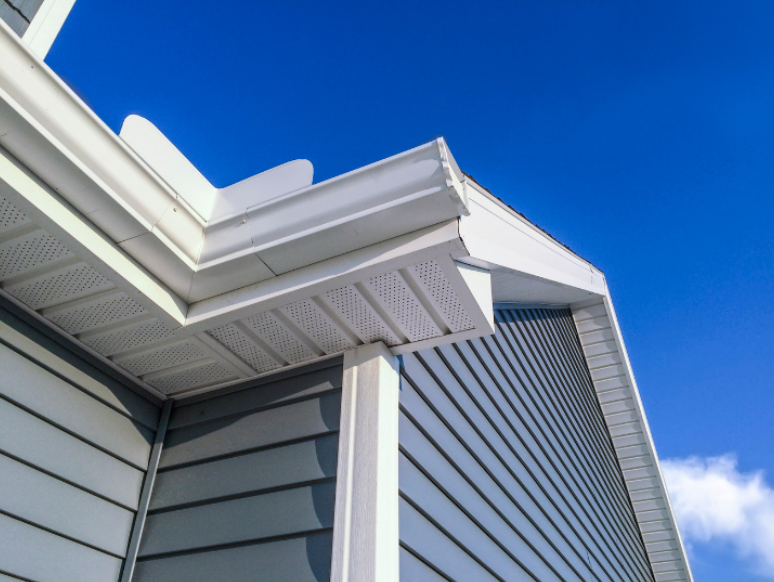 Hagerstown Homeowners: Are Your Gutters Causing a Mosquito Problem?