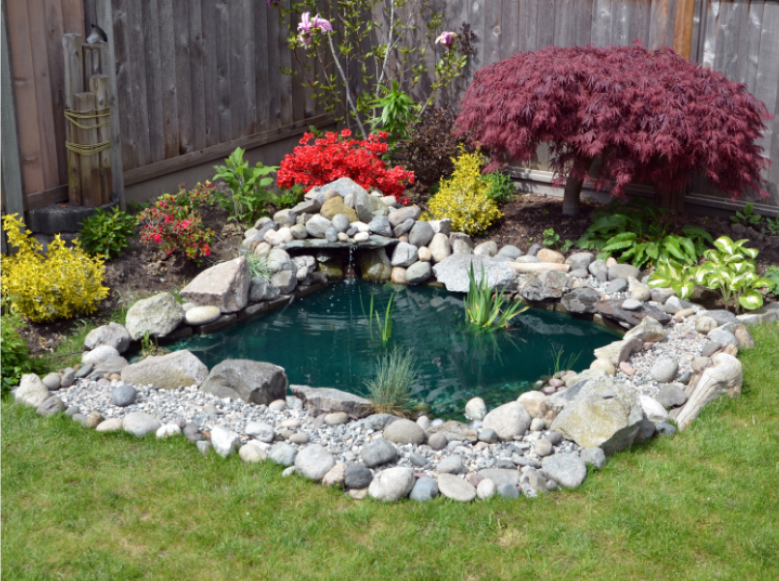 Backyard Water Features in Loveland: A Hidden Mosquito Risk?
