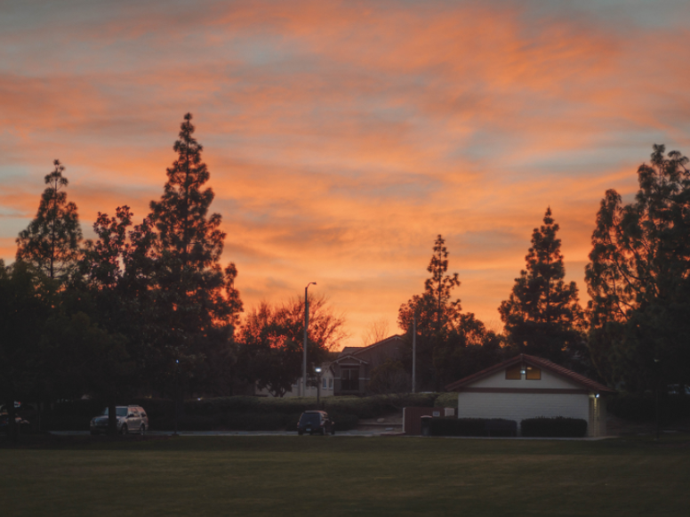 Summer Nights in Milliken: How to Stay Mosquito-Free