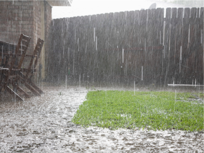 Why Massive Rain Events Create Explosive Mosquito Populations