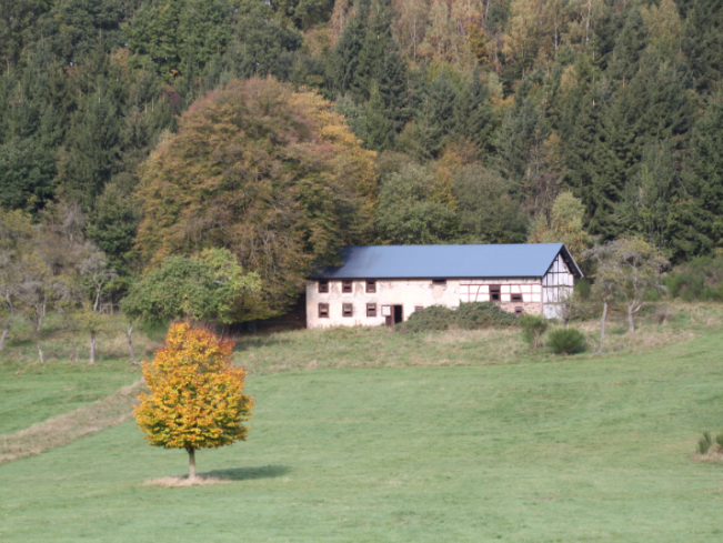Why Rural Properties in Lanexa See Higher Tick Activity